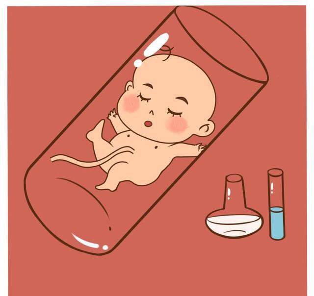 如何在试管婴儿移植前调节身体，如何在移植前调节胚胎。