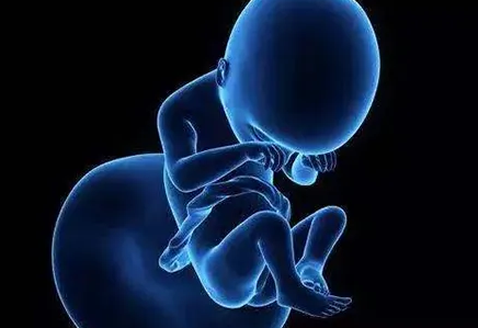 临沂捐卵-胎儿停育后更容易怀孕是有科学依据的